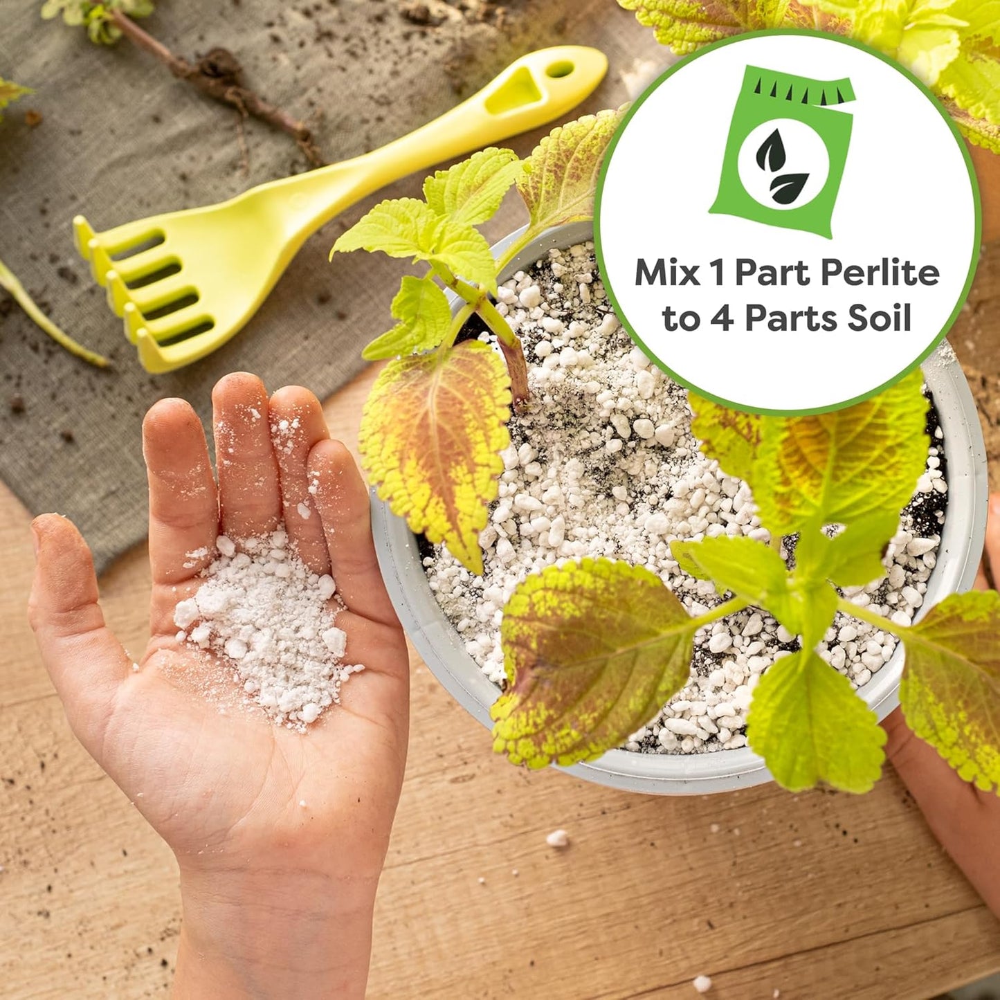 Organic Perlite by  ā Add to Soil for Indoor & Outdoor Container Plants for Drainage Management and Enhanced Growth (8Qts.)