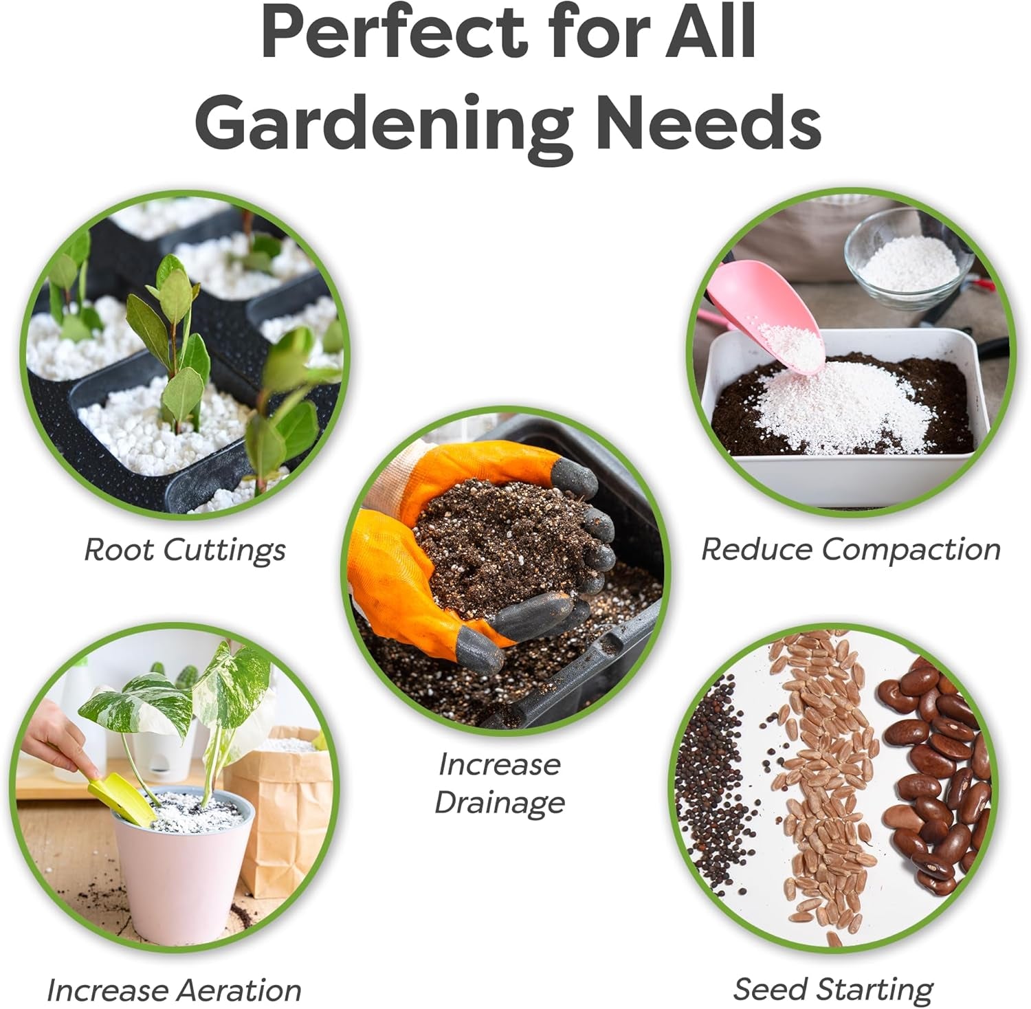 Organic Perlite by  ā Add to Soil for Indoor & Outdoor Container Plants for Drainage Management and Enhanced Growth (8Qts.)